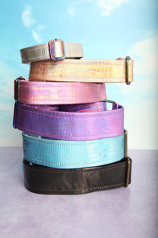 Holographic Collars k9 closet